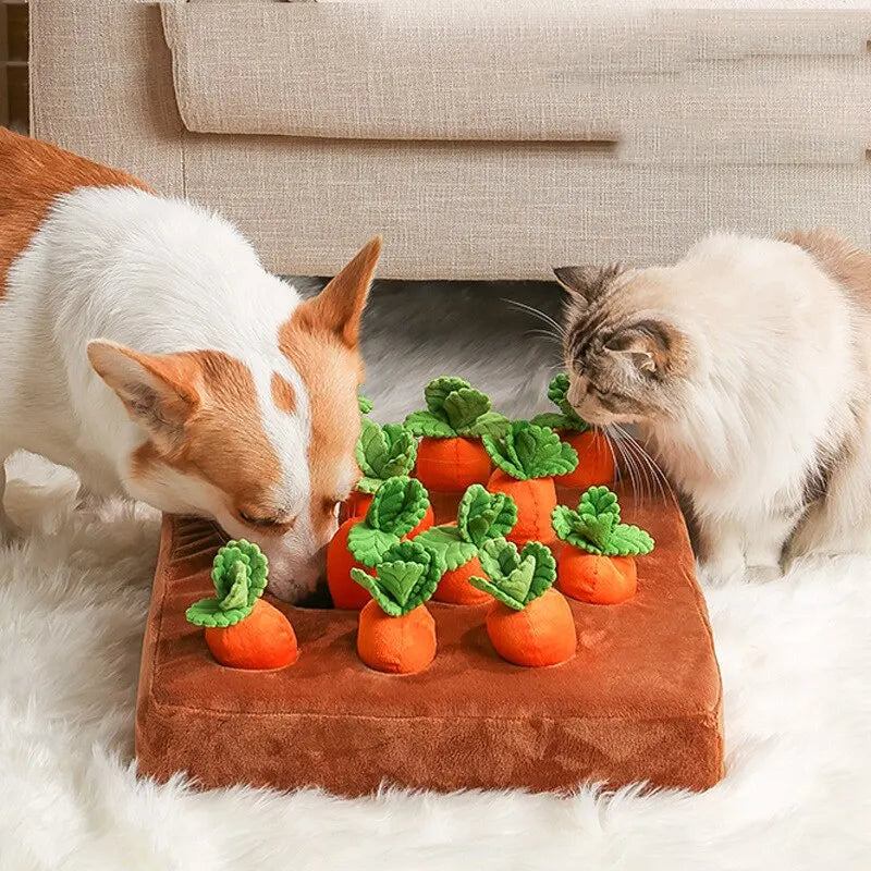 Carrot Farm Interactive Plush Dog Toy Petritzy
