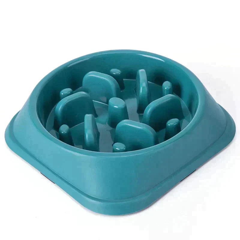 Pet Slow Feeder Bowl Petritzy