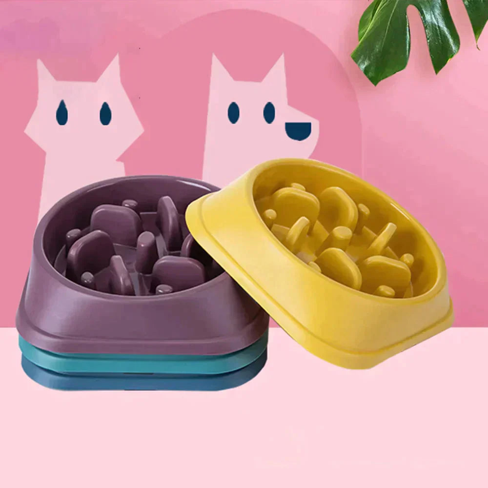 Pet Slow Feeder Bowl Petritzy