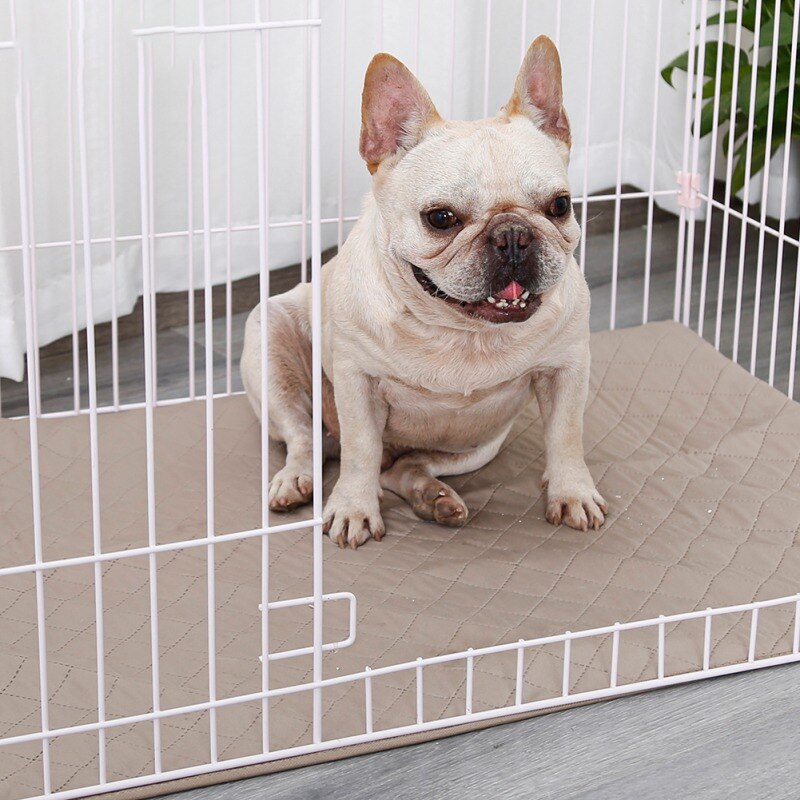 Washable Leak Proof Pet Mat